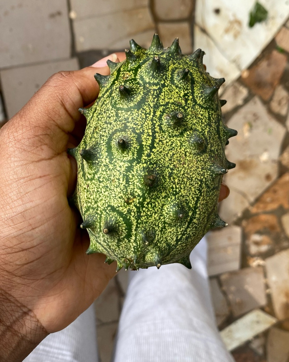 Horned melon - Per Kg Approx 3-5pcs
